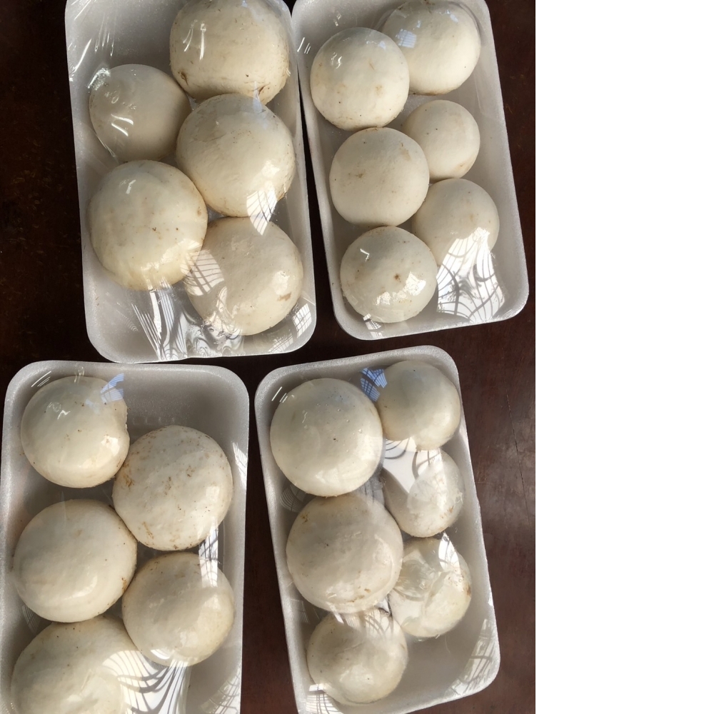 【嚴選蔬果】有機洋香菇 | 南投縣魚池鄉_1箱(8盒入|200g/盒)+免運