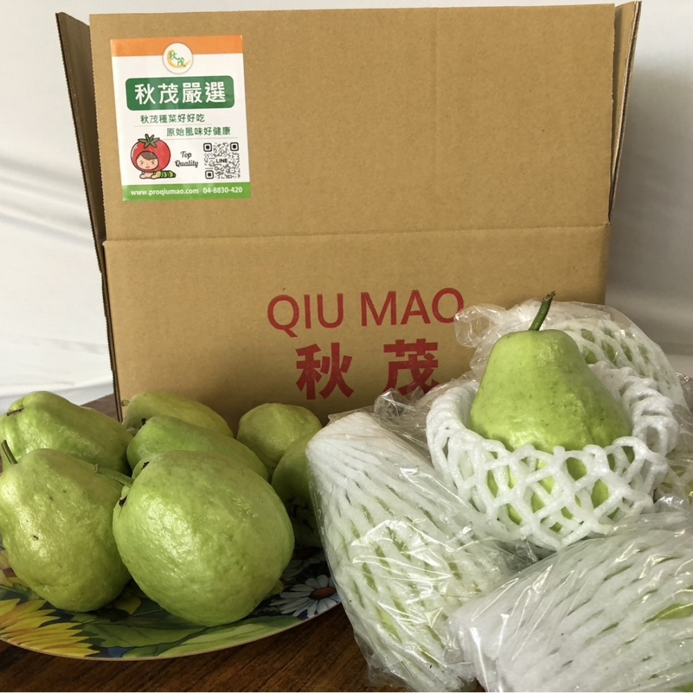 【嚴選蔬果】超好吃芭樂 | 彰化溪州芭樂達人農場_1箱(5斤入|約10~14顆)+免運