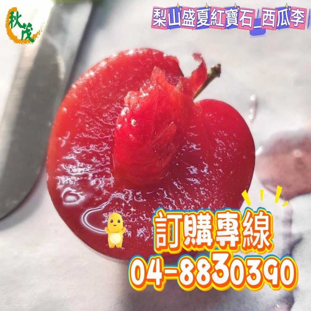 【嚴選蔬果】梨山秘境紅寶石西瓜李 | 松茂阿邦的果園_1箱5斤_含運價