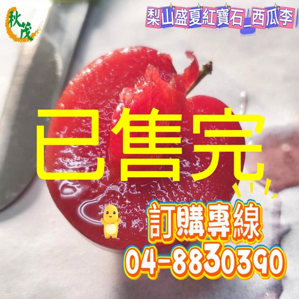 【嚴選蔬果】梨山秘境紅寶石西瓜李 | 松茂阿邦的果園_1箱5斤_含運價