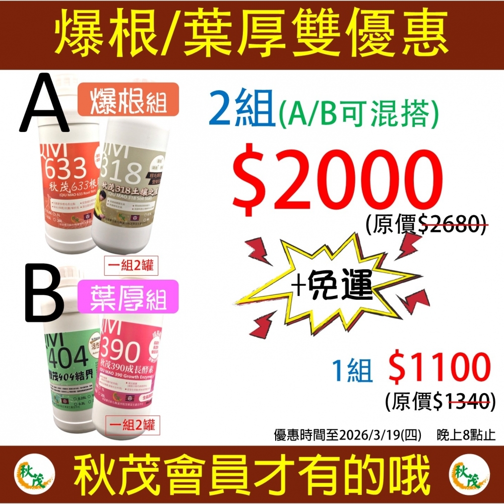 【限時優惠0317-