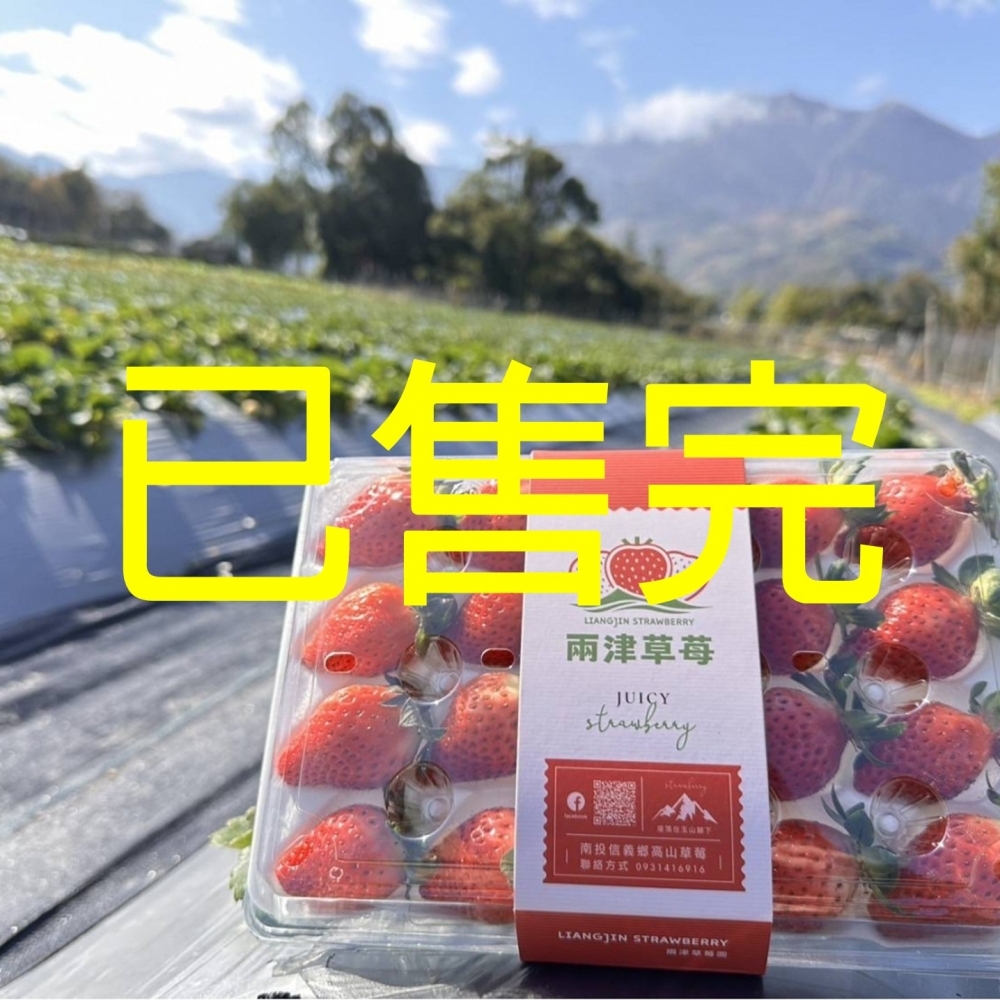 【嚴選蔬果】高山草莓 | 南投信義草坪頭 兩津草莓園_1箱(3盒入 | 約300克/盒 | 15~20顆/盒)+免運