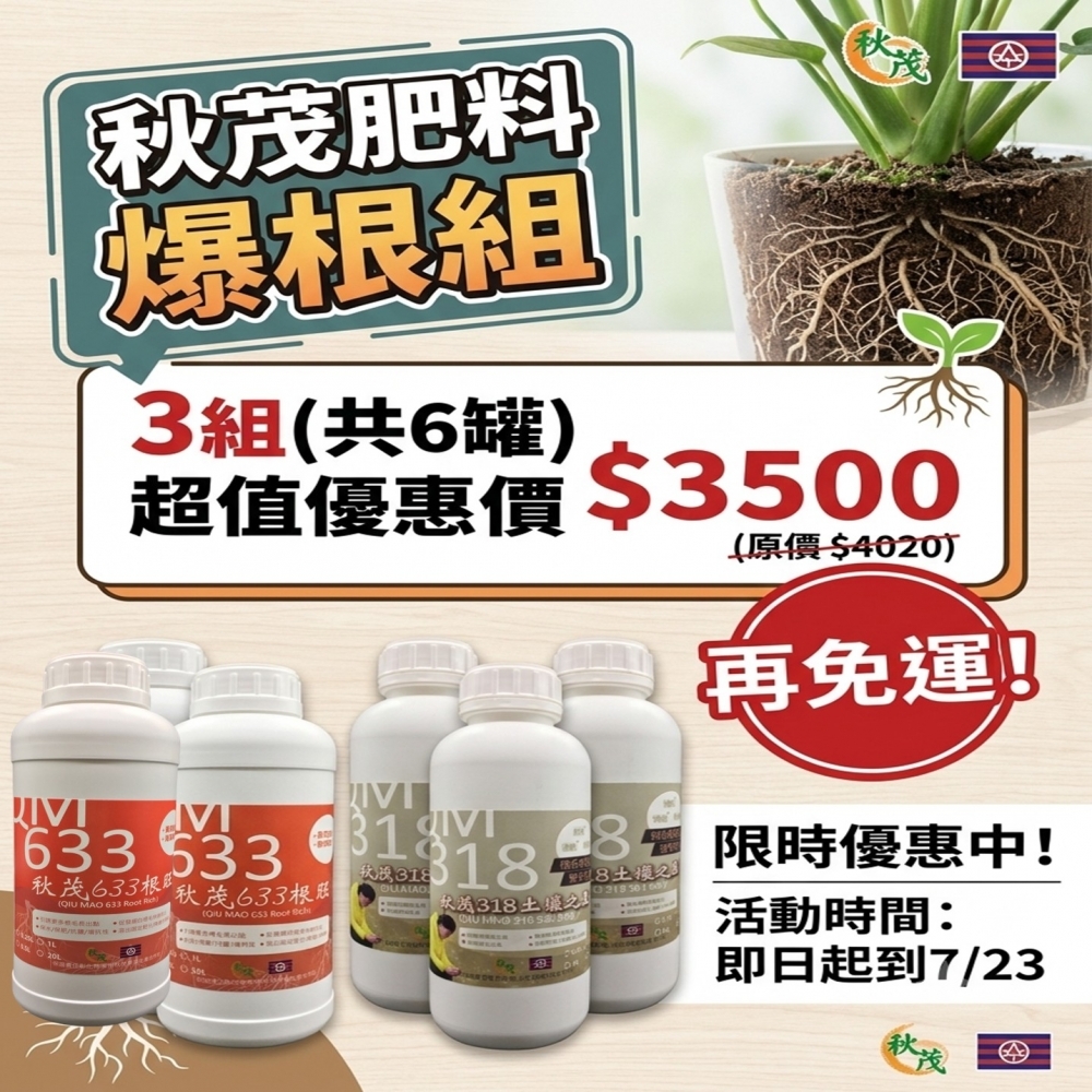 【限時優惠0721-0723】秋茂633+318爆根組3組3500元再免運