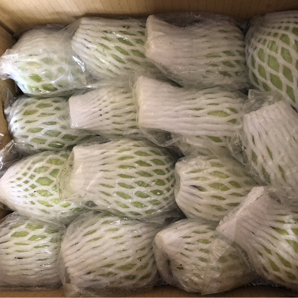 【大師推薦】超好吃芭樂 | 彰化溪州芭樂達人農場_1箱(5斤入|約10~14顆)+免運