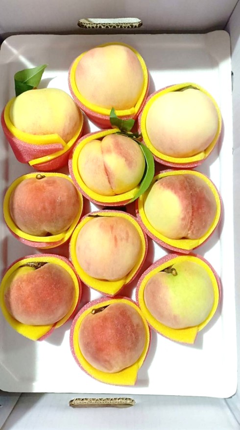 【嚴選蔬果】<水果界愛馬仕>梨山水蜜桃 | 松茂阿邦的果園__含運價